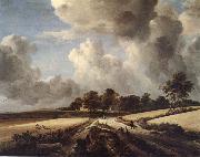 RUISDAEL, Jacob Isaackszon van Wheatfields china oil painting reproduction